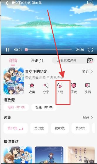 曼波动漫软件官方正版