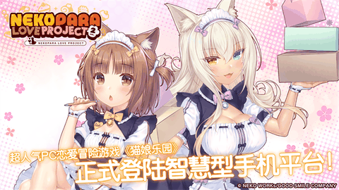 猫娘乐园2补丁版下载安装