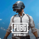PUBGMOBILE国际服手机版下载