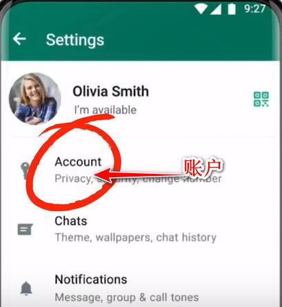 WhatsApp安卓手机版下载