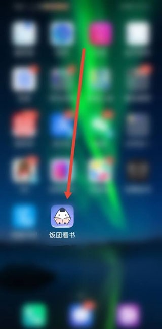 饭团探书最新版下载