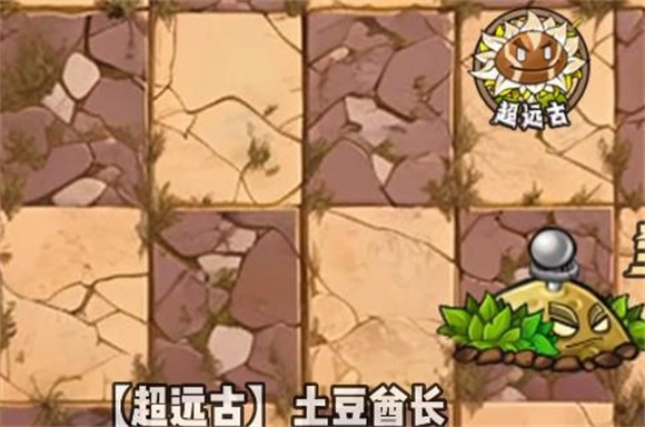 植物大战僵尸神奇植物最新版安卓版下载