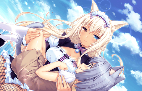 猫娘乐园2补丁版下载安装