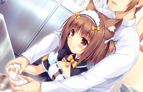 猫娘乐园2补丁版下载安装