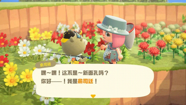 动物森友会手机版下载