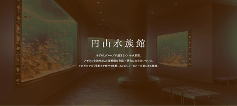 甜蜜女友3手机汉化移植版下载