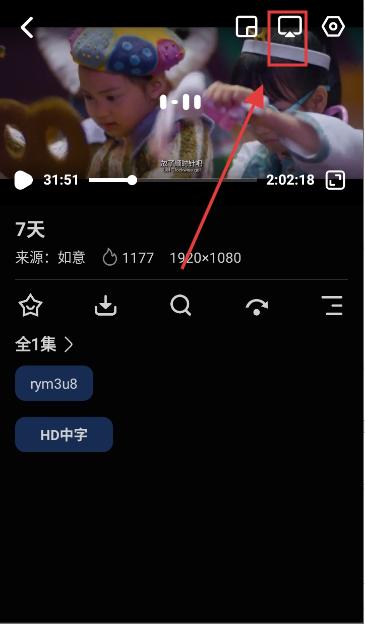 鲨鱼剧场2026最新版