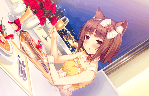 猫娘乐园LoveProjectVol2汉化版下载