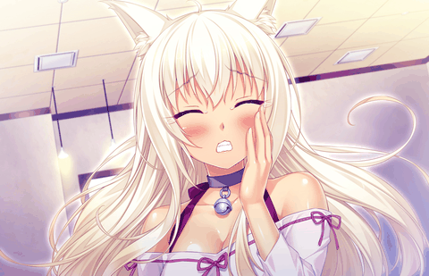 猫娘乐园LoveProjectVol2汉化版下载