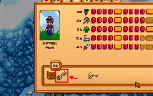 星露谷物语汉化版无限金币美化版