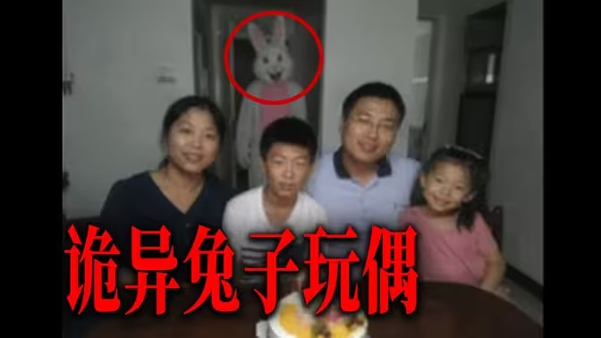 魔法兔兔官方版下载