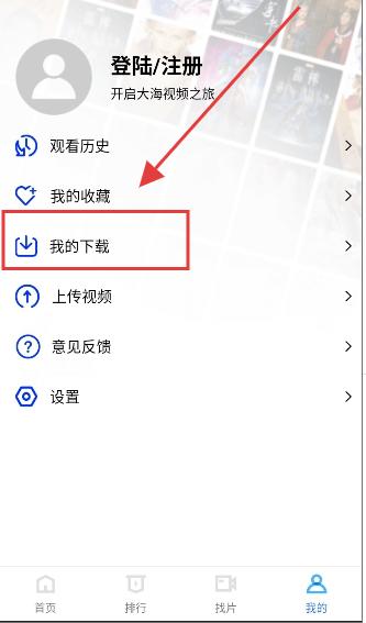 大海视频无广告下载